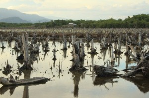 image-20150420-3253-ox9i2a-1